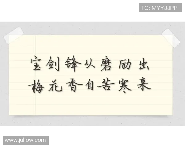 梅花香自苦寒来足球明星梅姓传奇与成就探讨