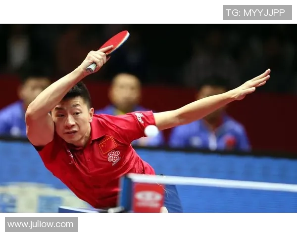 武汉乒乓球队在全国速度排行榜中荣获第二名展现卓越实力与潜力