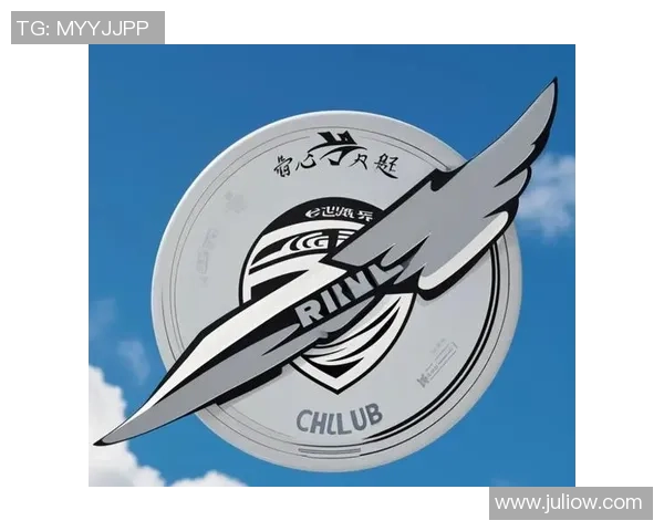 飞盘新手攻略：战术入门指南